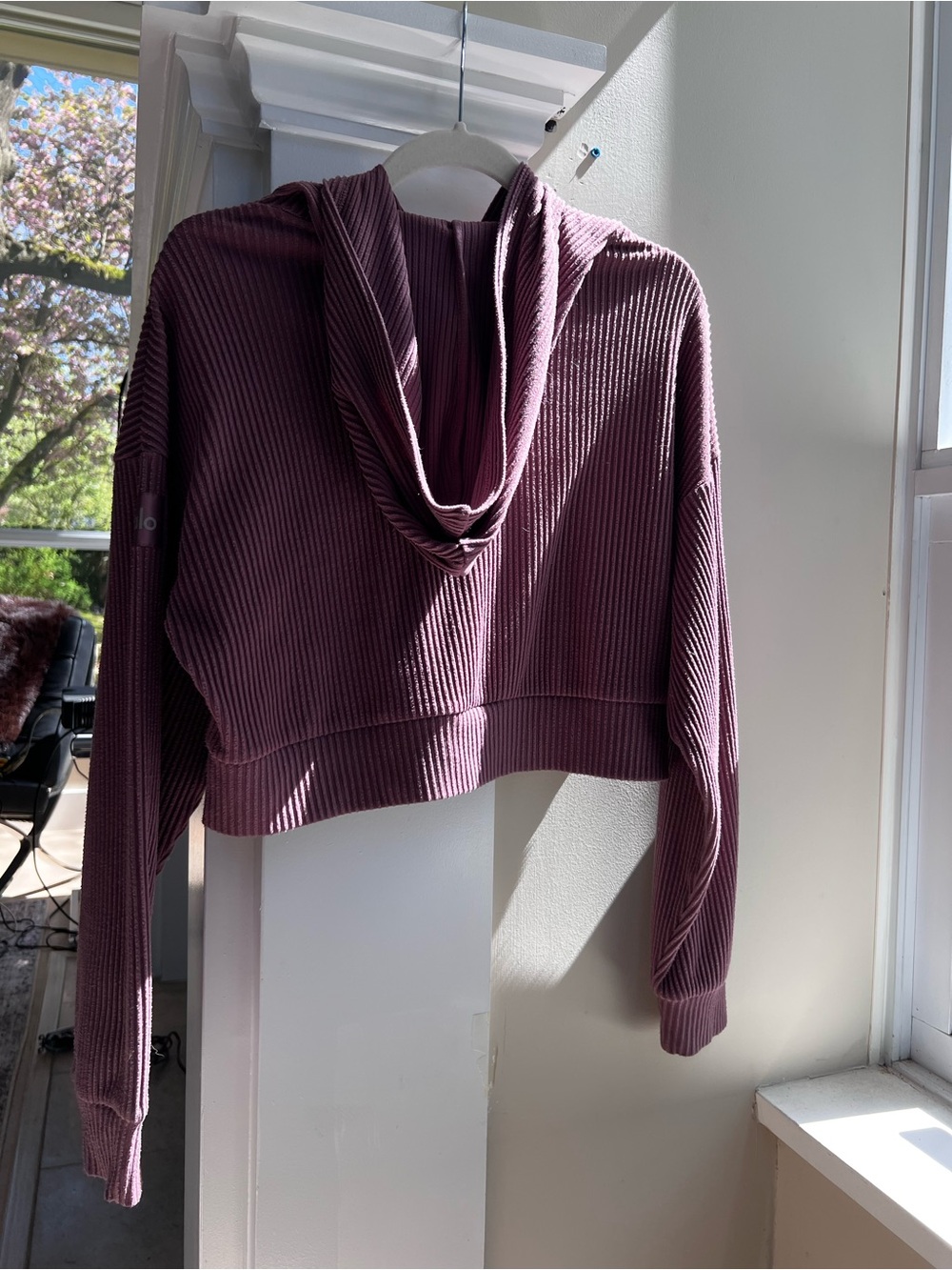 Alo Muse Hoodie - Picture 3 of 6